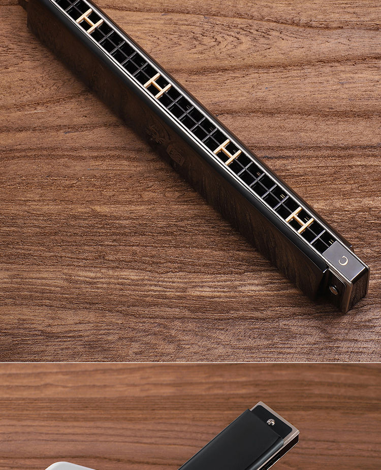 上海口琴24孔成人演奏儿童学生初学者通用不锈钢乐器