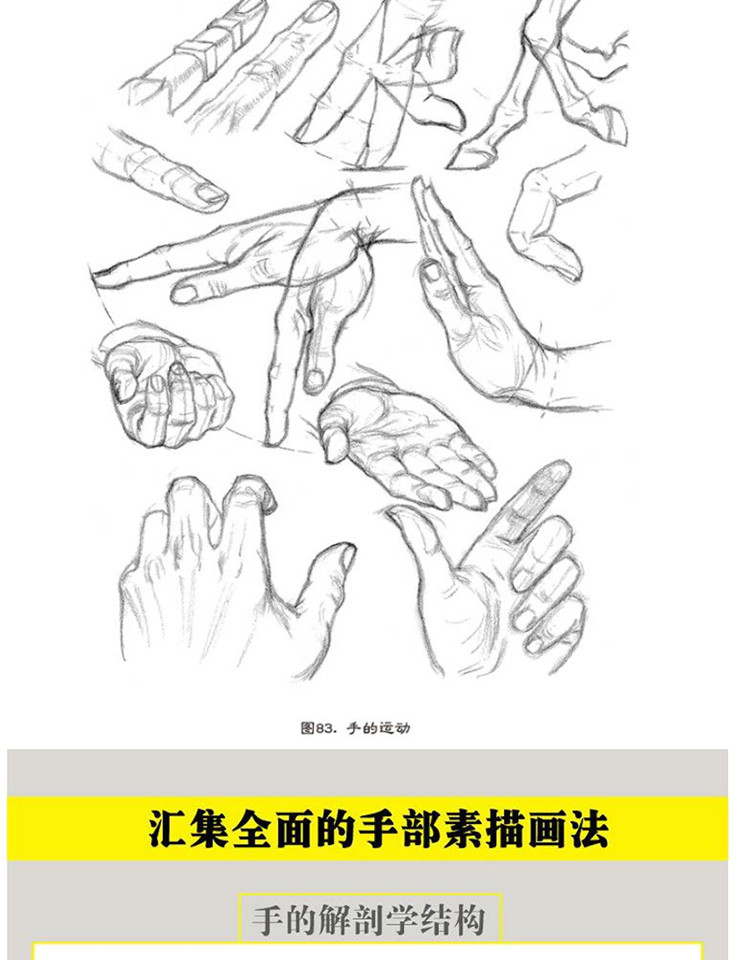 路米斯经典美术课-头手素描素描从入到精通头像手部素描基础