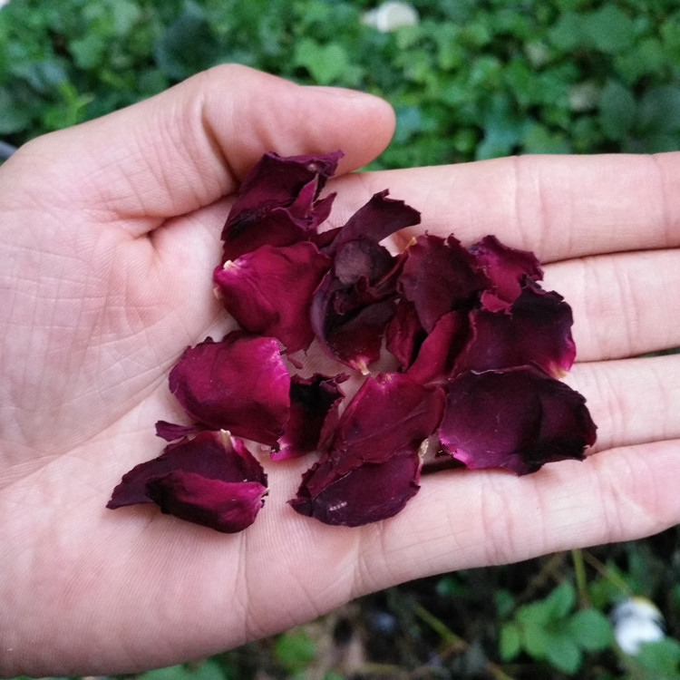 晒干大红月季花瓣干花瓣25克农家自产新货泡酒外用筋骨扭伤肿