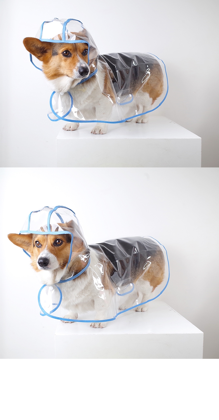 狗狗雨衣制作样板图图片