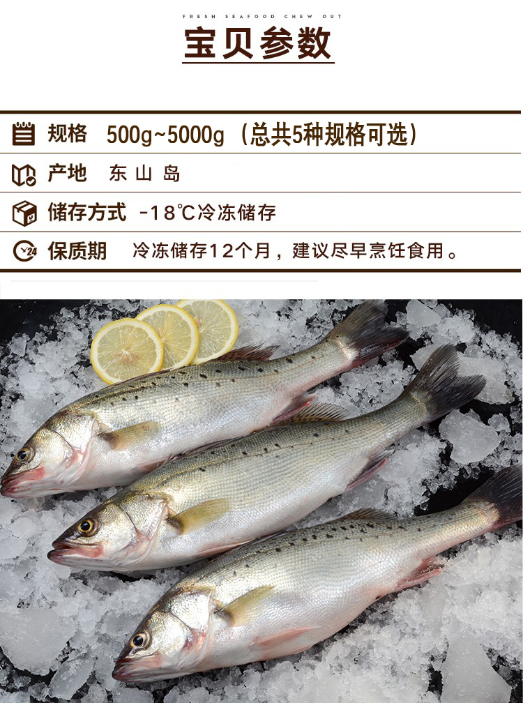 四海生鲜东山岛海钓鲈鱼2只2000g现捕活冻深海海钓海鲈鱼新鲜活冻海鲜