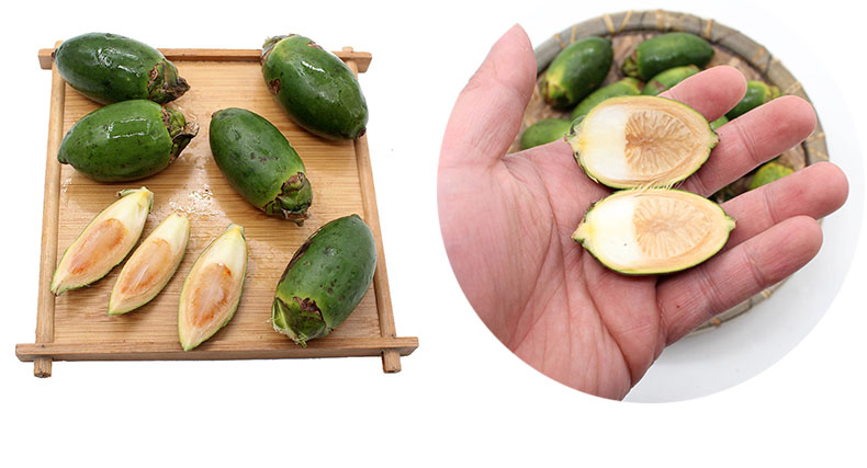 1斤 海南新鲜生青嫩仔槟榔果 烟果 甜贝壳粉苦贝壳粉各1半【价格 图片