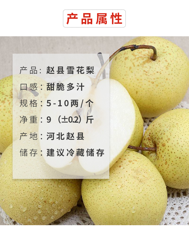 正宗雪梨河北赵县赵州雪花梨整箱10斤新鲜水果梨子熬梨水冰糖三天内