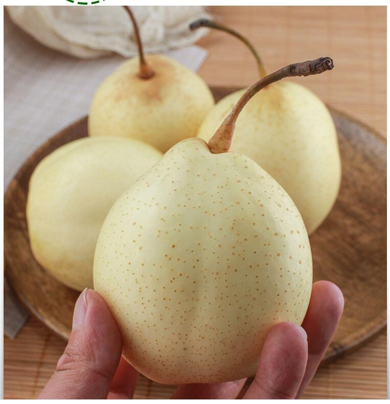 xj梨子新鲜河北鸭梨当季水果雪梨脆甜雪花梨白梨可开发票25kg