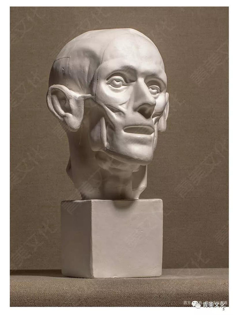 扎实石膏像照片 青美文化素描石膏人物头像肖像半身像五官临摹范本