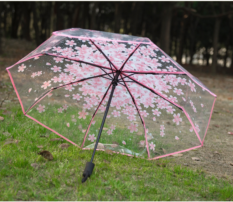 封后日本樱花伞透明雨伞女韩国小清新学生加厚情侣伞三折叠女神创意伞