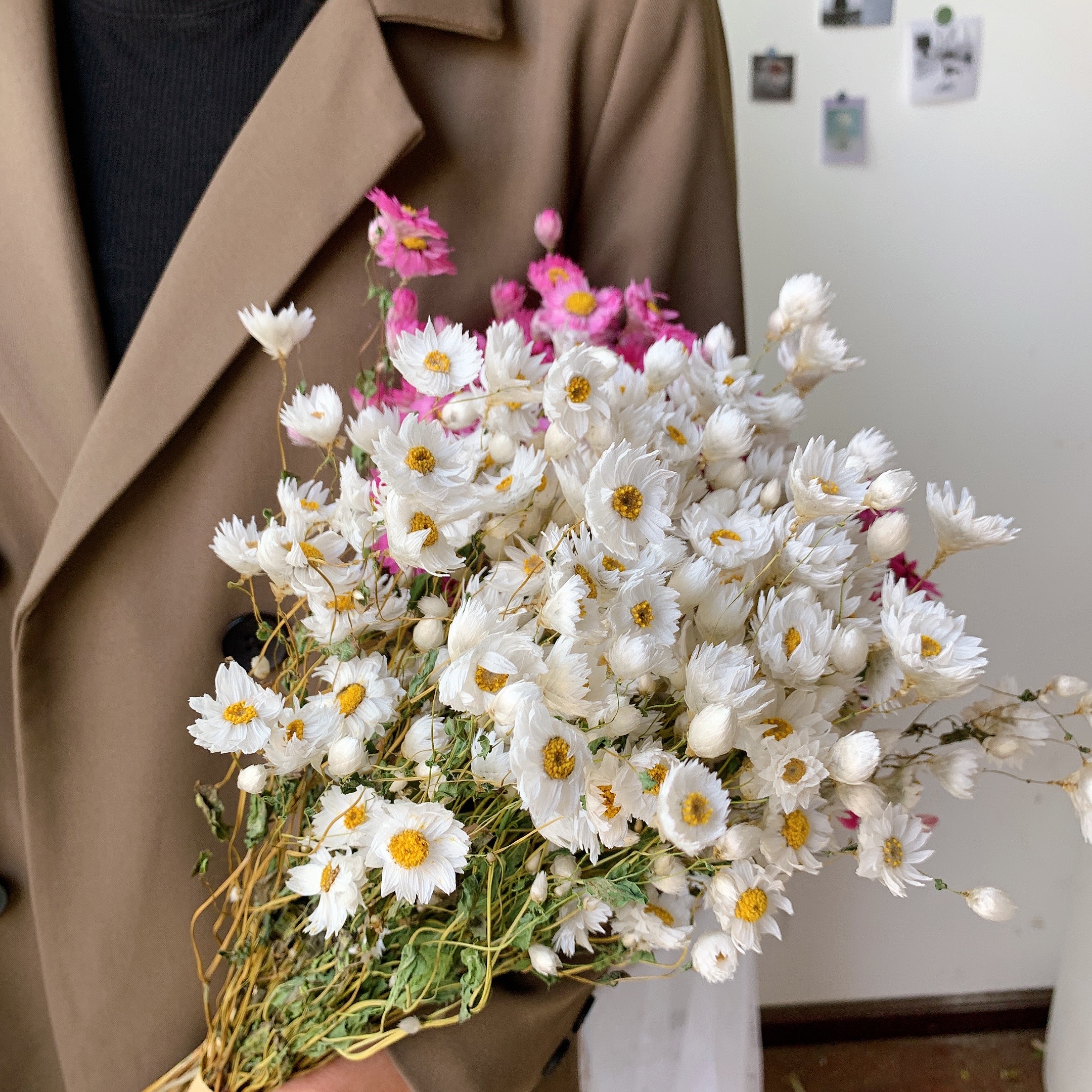 真花干花罗丹斯鲁丹鸟小雏菊小清新家居网红装饰摆件ins风fenghou进口