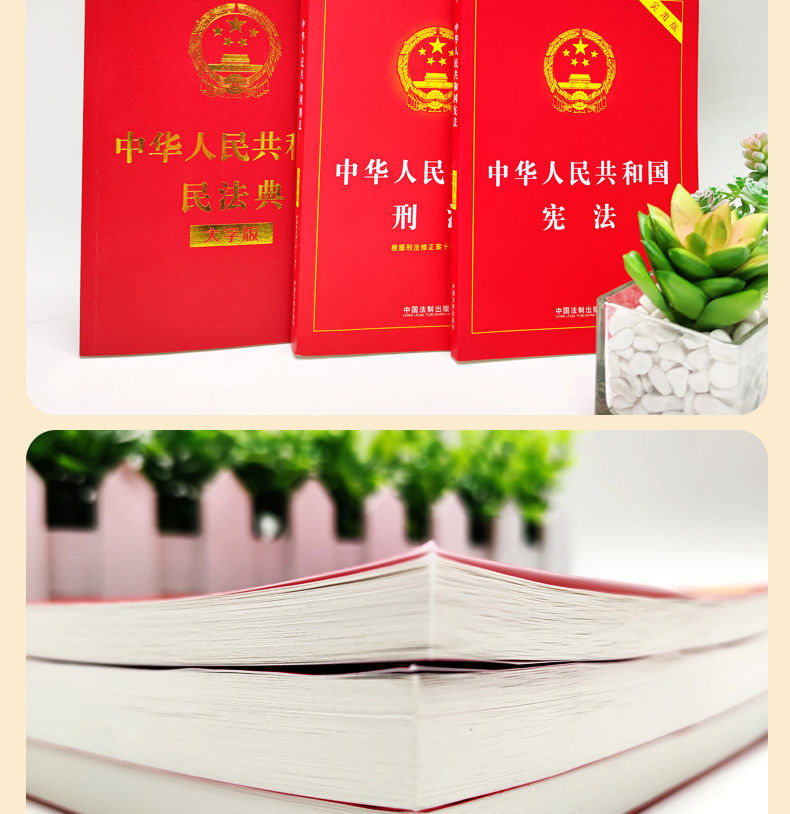 中国法律书籍全套3册】民法刑法典2021年新版中华人民共和国刑法 中华