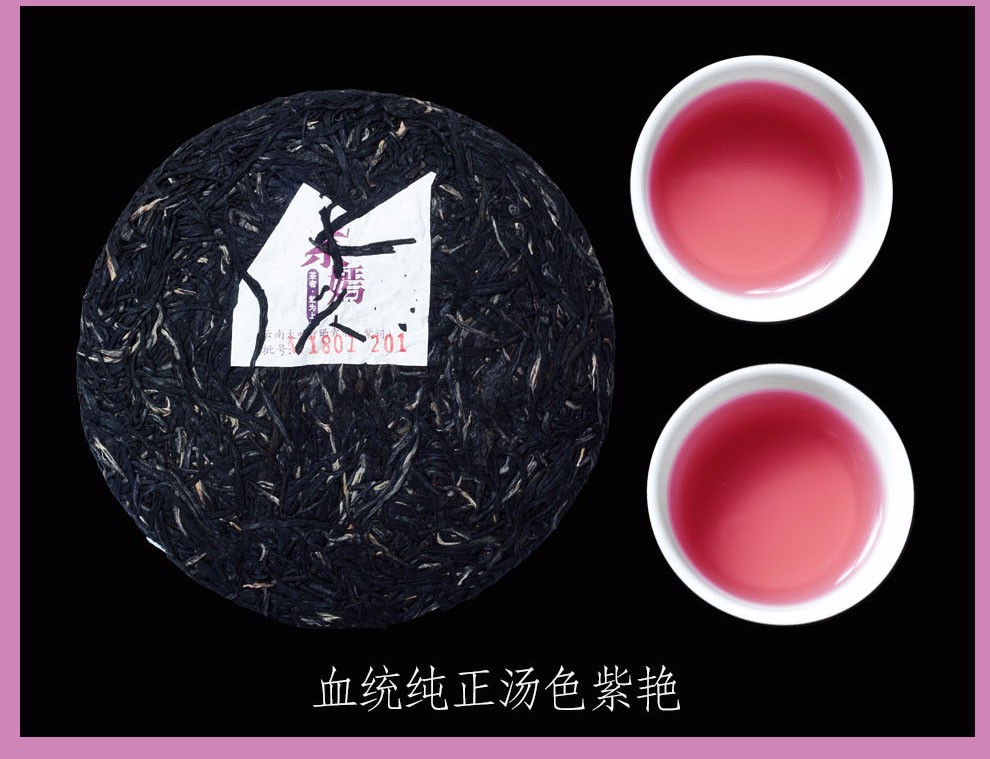 七彩云南紫鹃普洱茶生茶紫嫣普洱高花青素小茶饼叶紫娟200g饼整提1400