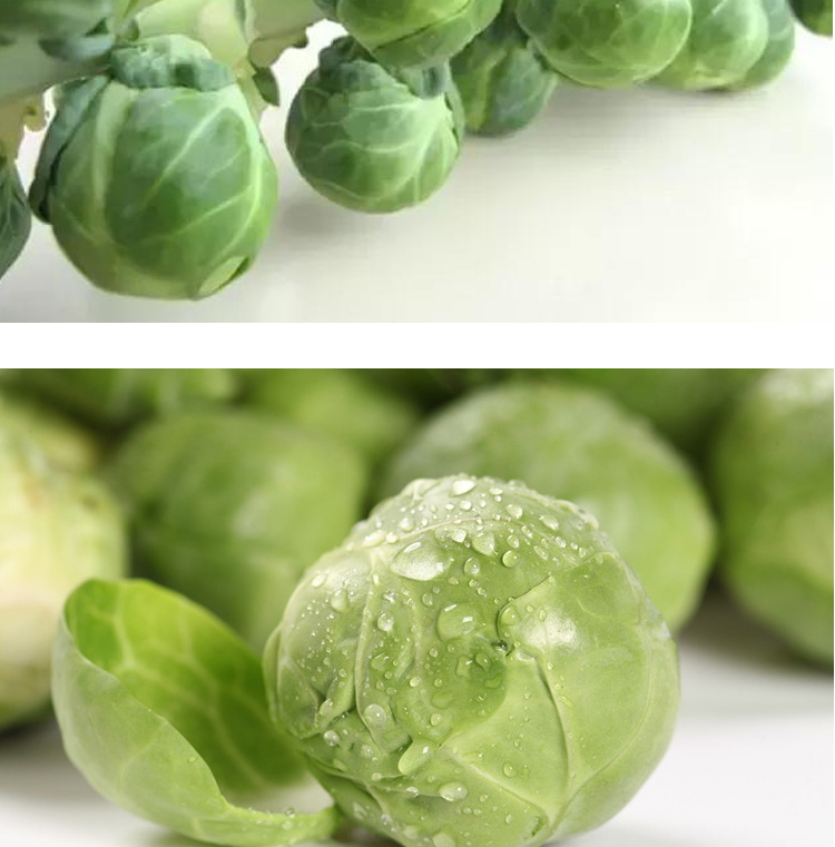 有检疫证孢子甘蓝500g抱子甘蓝小甘蓝小包菜