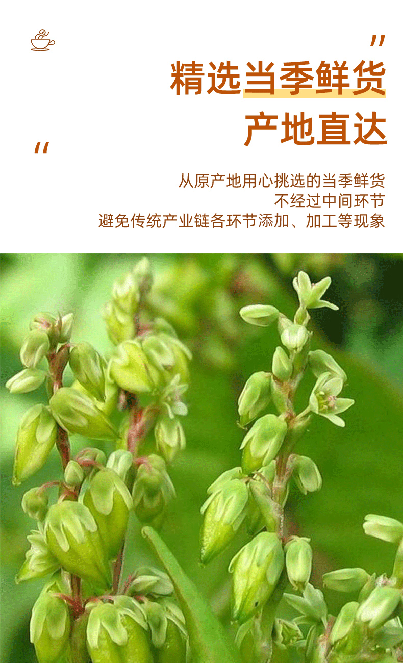 桑克拉sunclara养生茶饮