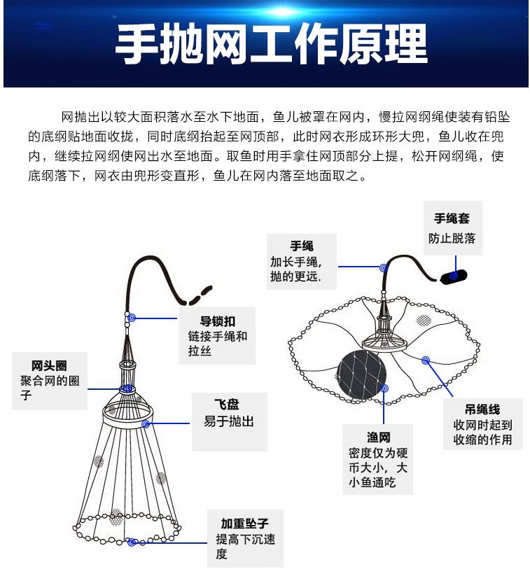 飞盘撒网怎么撒图片