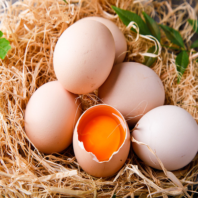 江苏乡村振兴财政集采苏米丰土鸡蛋食堂专用360枚箱4箱起订