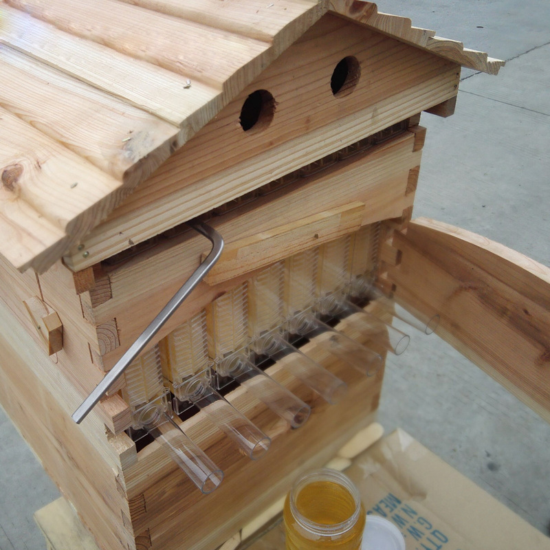 彤派工具包/箱/车010xhwjfx 自流蜜脾蜂箱 自动取蜜蜂箱 蜡煮蜂箱