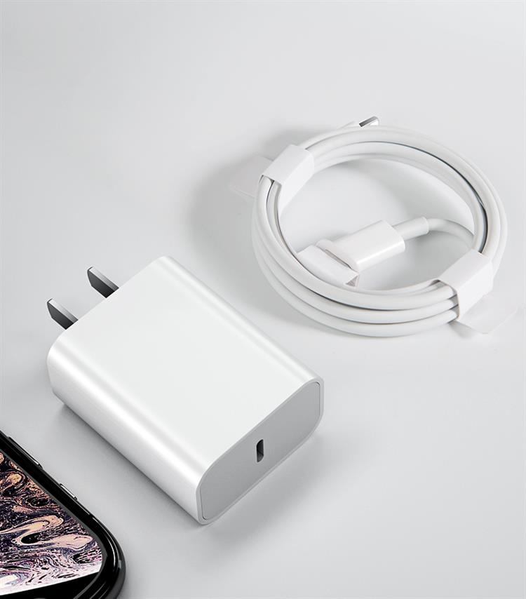 ipad充电器线miniair2345iphonex11xsxrpd快充线1米1条