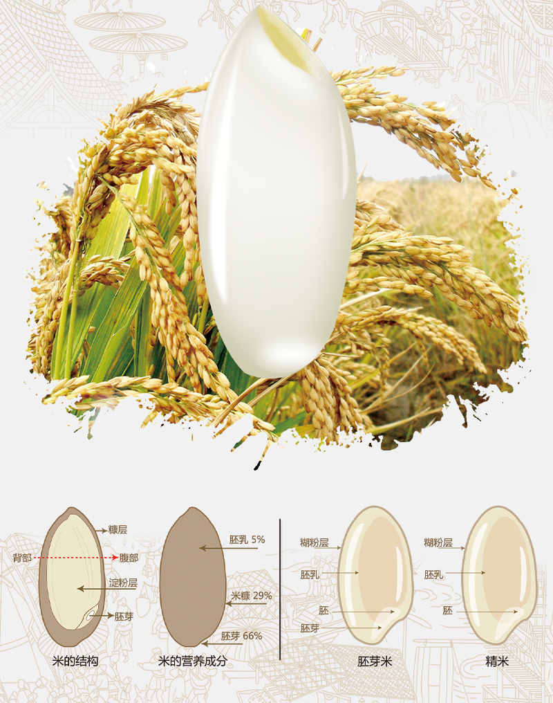 大米核心参数品牌:北大荒(beidahuang) 类别:粳米 米粒形状:圆粒米