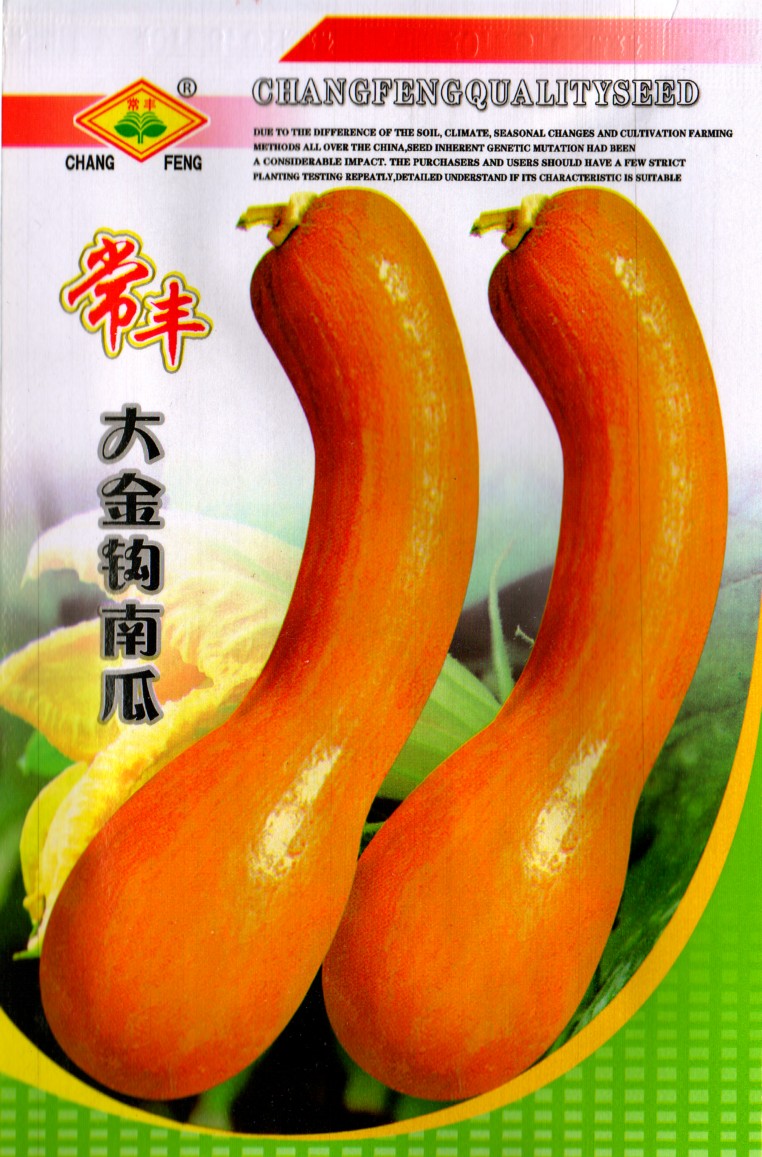 伟祺园艺大金钩南瓜种子狼南瓜家庭阳台种菜盆栽密本南瓜易种蔬菜籽