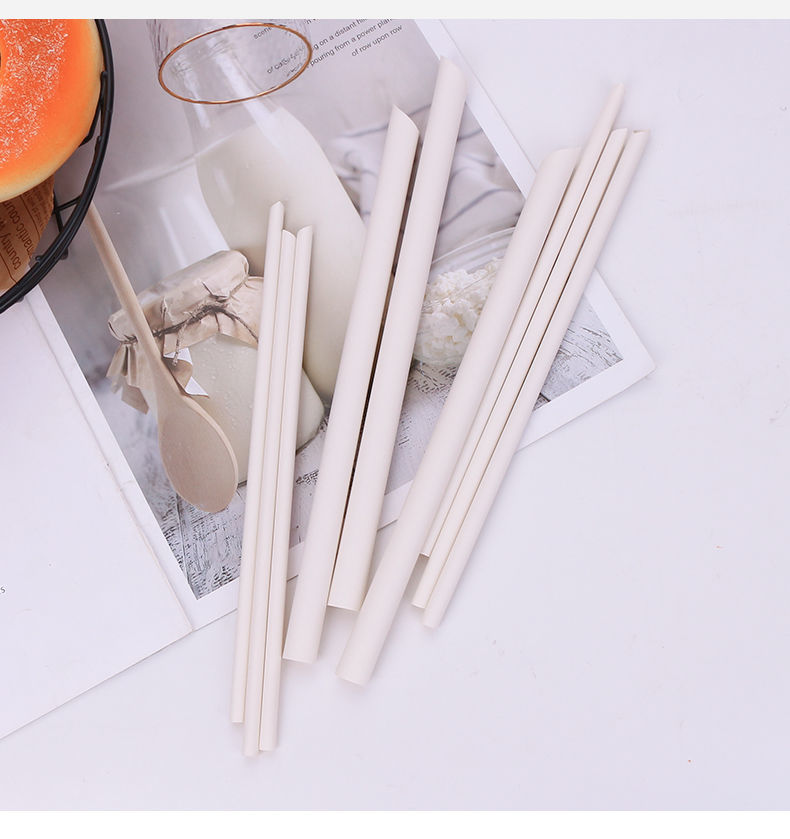一次性吸管环保可降解独立包装竹粉吸管珍珠奶茶豆浆吸管加粗批发 12