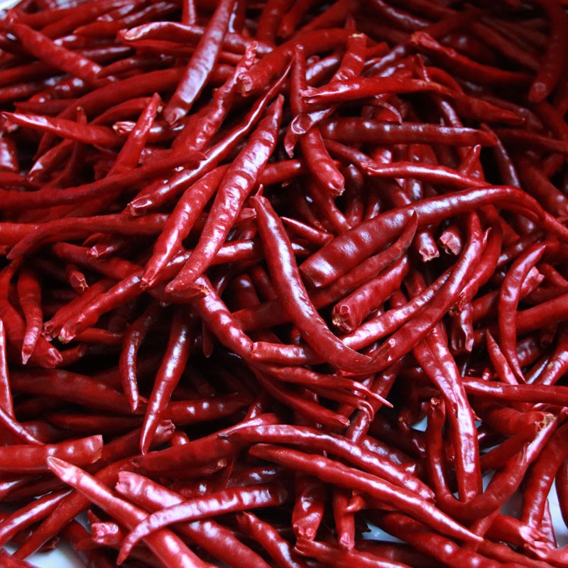 250g 云南特产 丘北辣椒 干辣椒 红辣椒干海椒