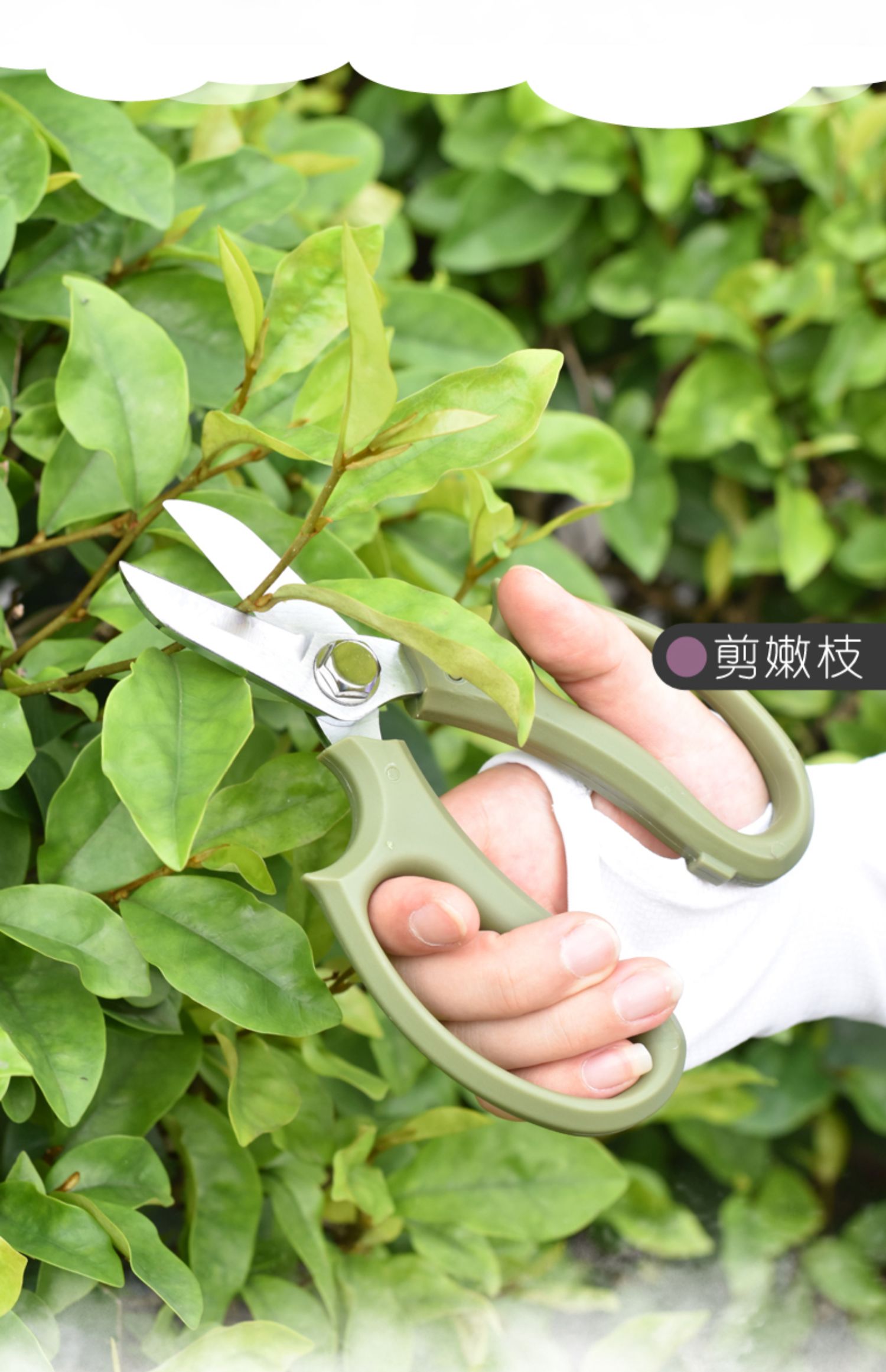 三维工匠花艺剪刀家用花剪花枝树枝园艺修枝插花枝剪花园剪鲜花专用