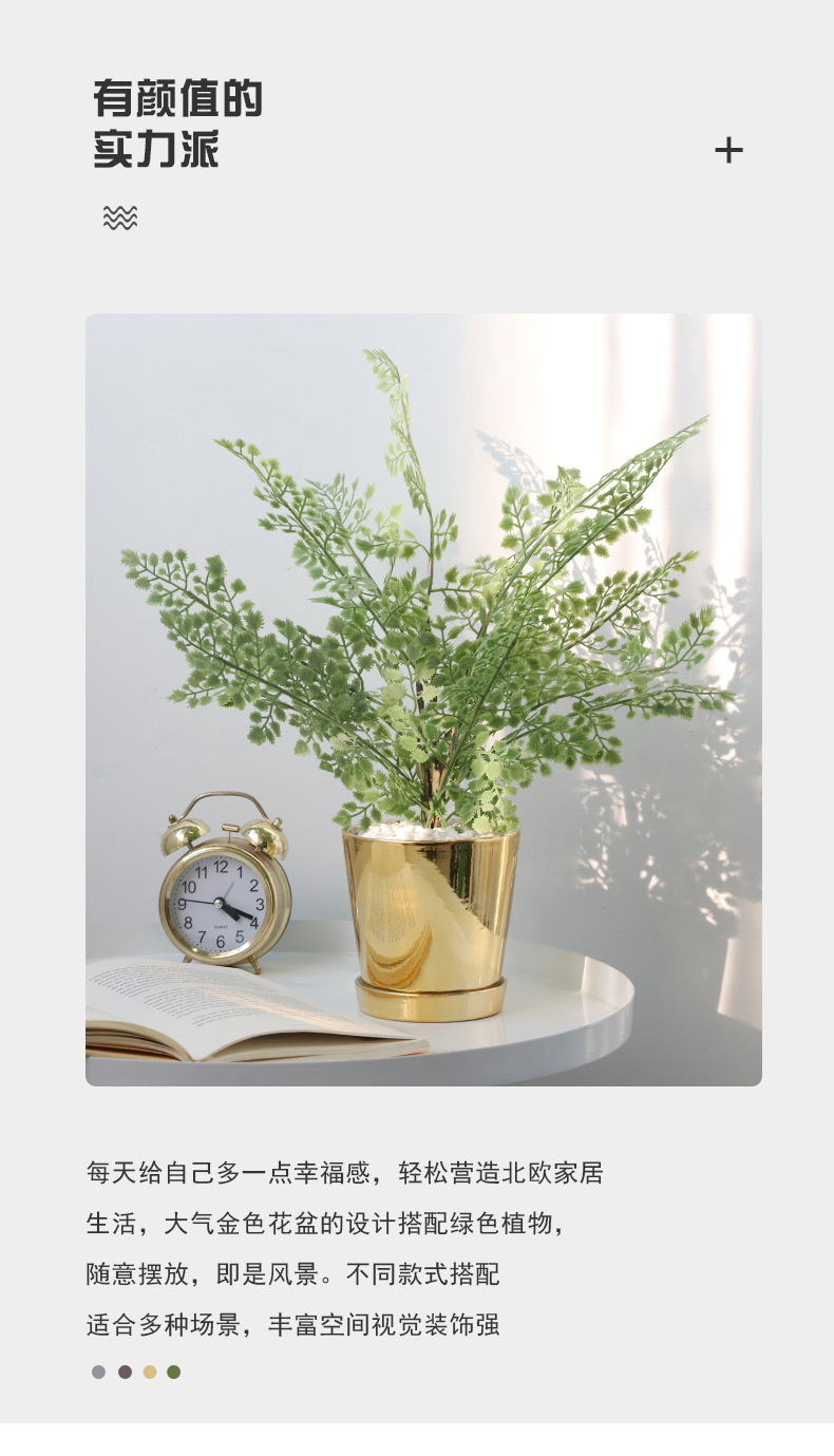 莱杉清洁工具北欧仿真植物带金色花盆套装室内客厅绿植装饰多肉小盆栽假花摆设 价格图片品牌报价 苏宁易购可书日用专营店 莱杉清洁工具北欧仿真植物带金色花盆套装室内客厅绿植装饰多肉小盆栽假花摆设 价格图片品牌报价 苏宁易购可书日用专营店