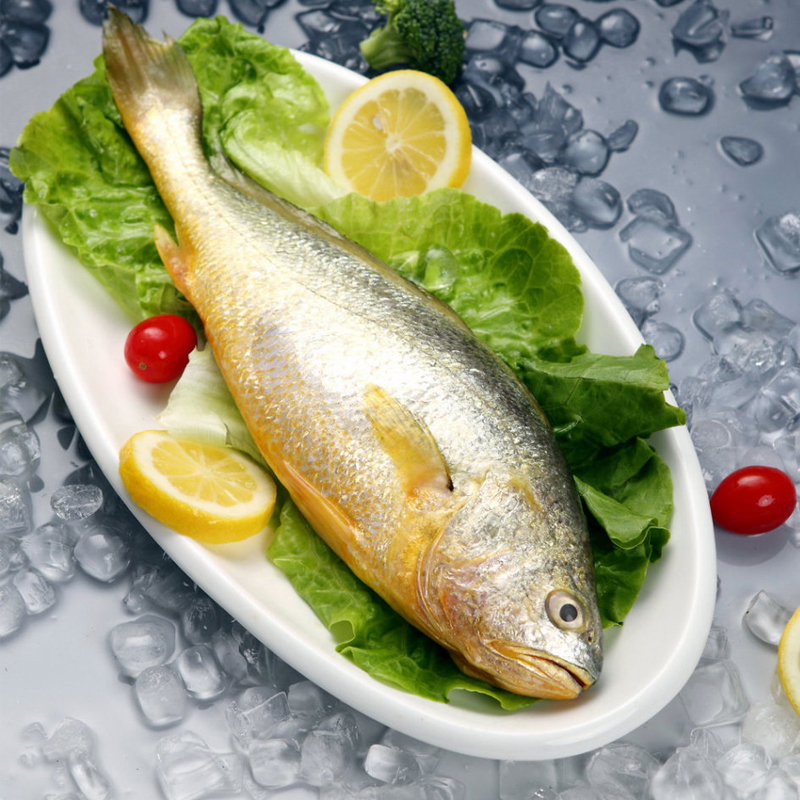 xj花鱼青岛特产新鲜大花鱼海捕大鱼海鱼3斤可开发票