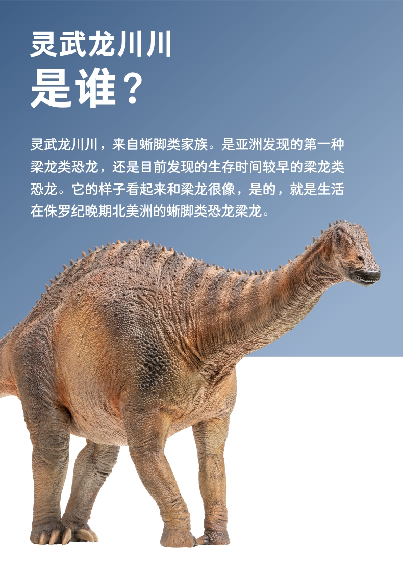 pnso仿真模型玩具63灵武龙 pnso灵武龙川川恐龙大王成长陪伴模型63