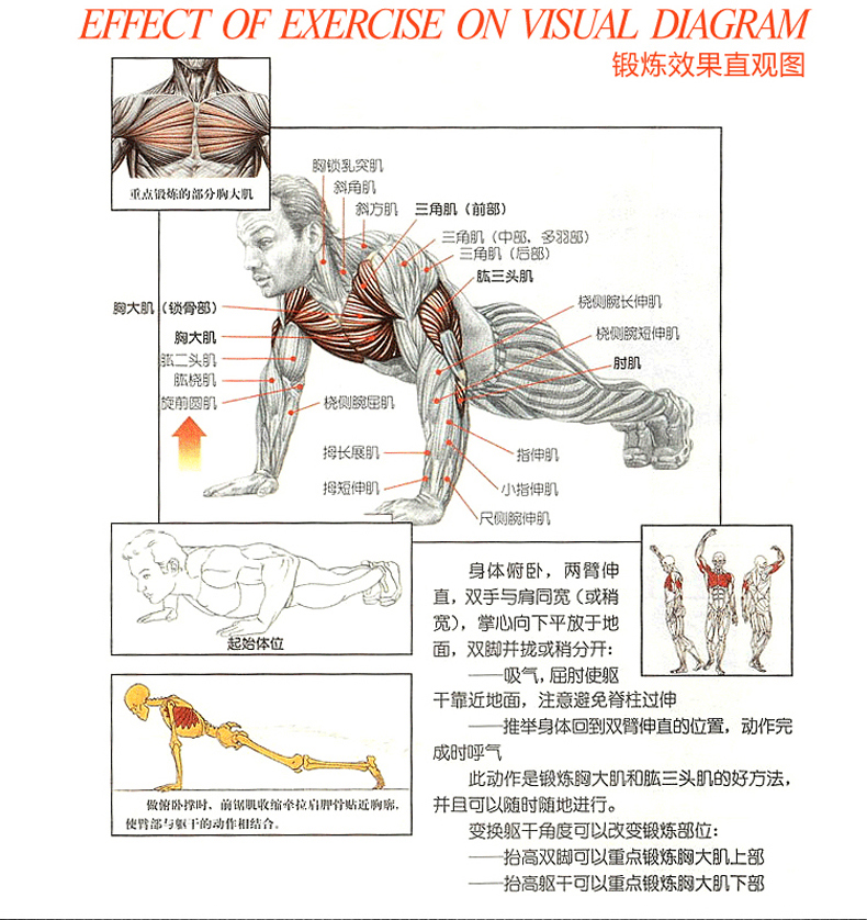 健身器材俯卧撑支架 运动器材工字型俯卧撑架健身用品俯卧撑器 【送