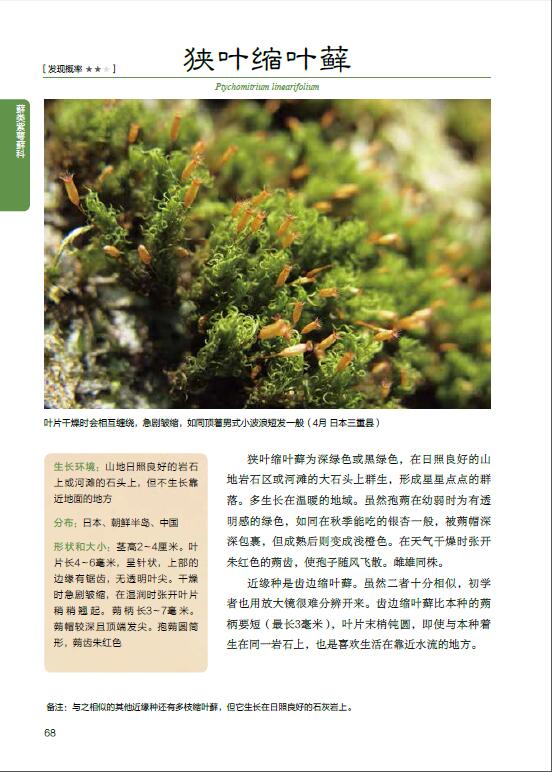 书苔藓球苔藓盆景苔藓种类养植方法花卉园艺植物图鉴栽培技术入门书籍