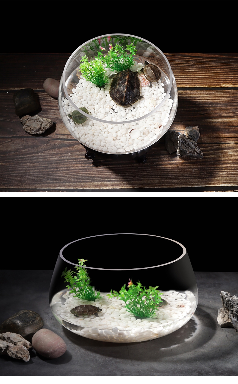 小鱼缸客厅米妮小型玻璃桌面金鱼缸家用生态乌龟缸迷你龟缸乌龟专用缸