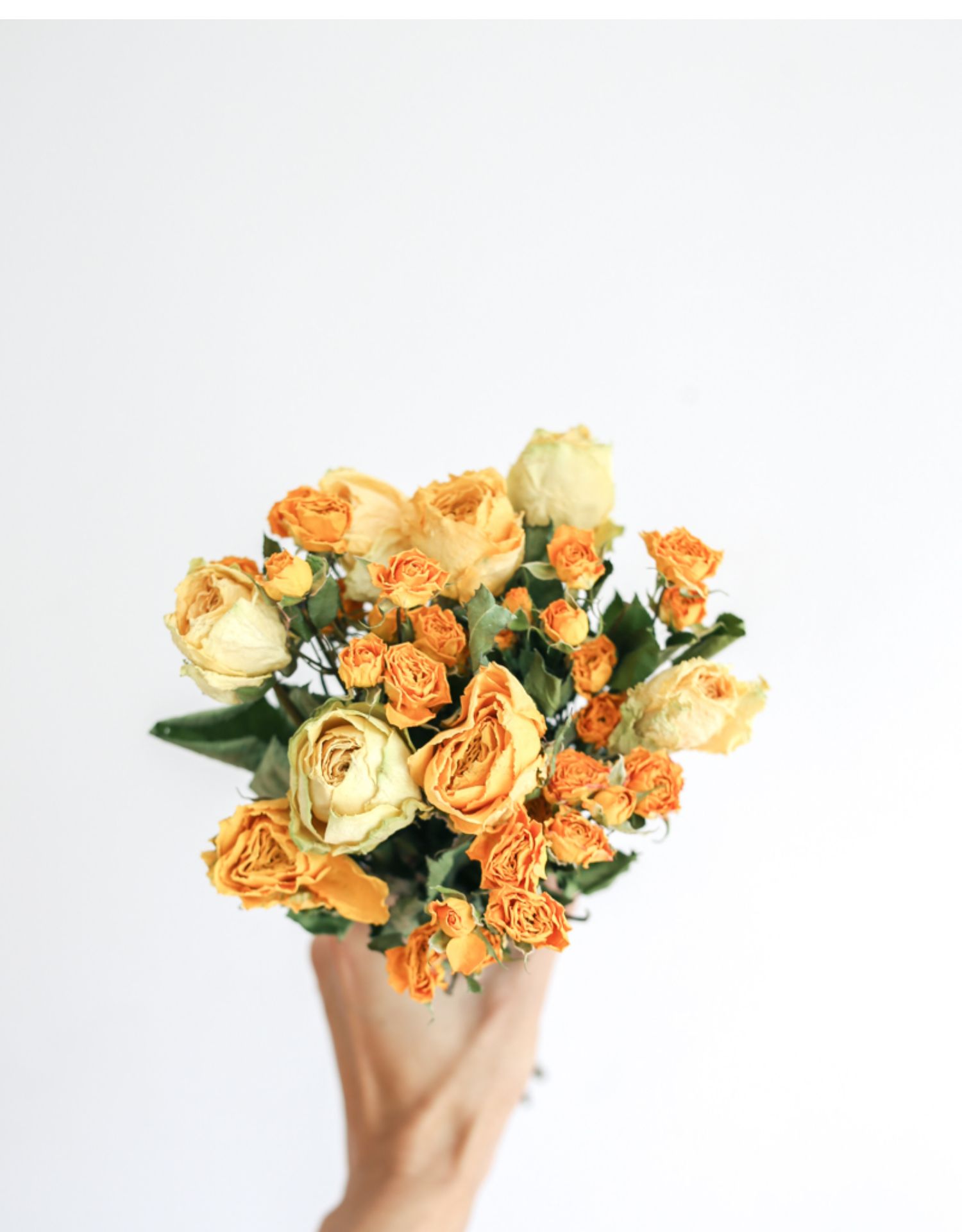 混合玫瑰干花花束家居装饰文艺民宿咖啡厅奶茶店桌面摆设南栖于野封后