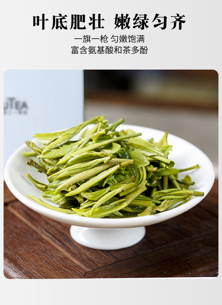 麓雨明前茅山青峰2022新茶预售茶叶炒青绿茶浓香型青锋春茶江苏常州