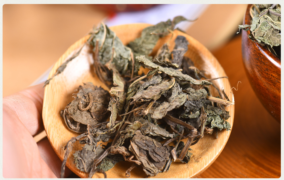 苏叶中紫苏叶干新鲜食用泡茶500g可磨紫苏粉中草药店铺