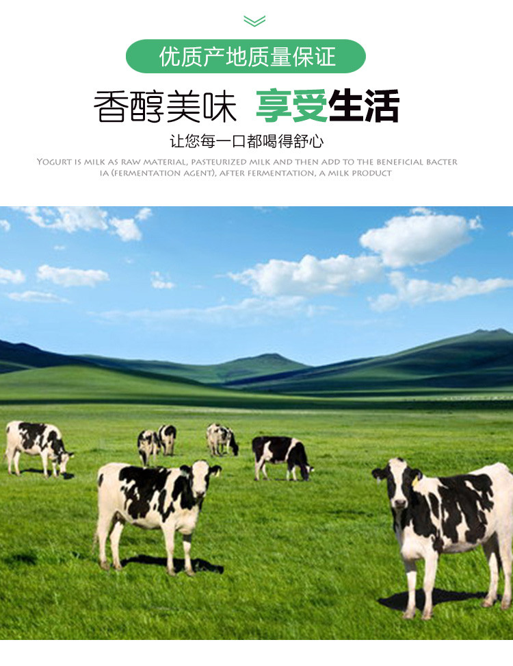 石埠牧场纯牛奶饮品200ml15