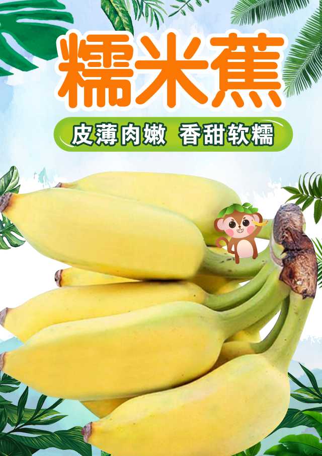 贵州册亨糯米蕉小米蕉香蕉自然熟水果新鲜当季水果净含量5斤