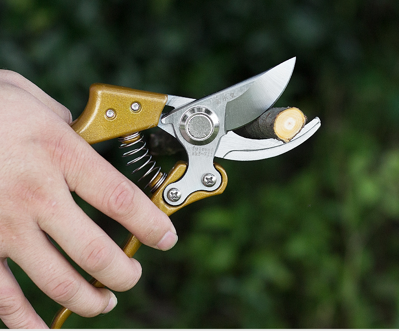 修枝剪家用树枝剪强力绿化园林省力锋利果树桑剪园丁剪园艺剪刀