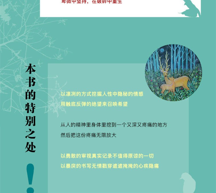 盐孙频著莫言阎连科韩少功苏童范小青力荐作品