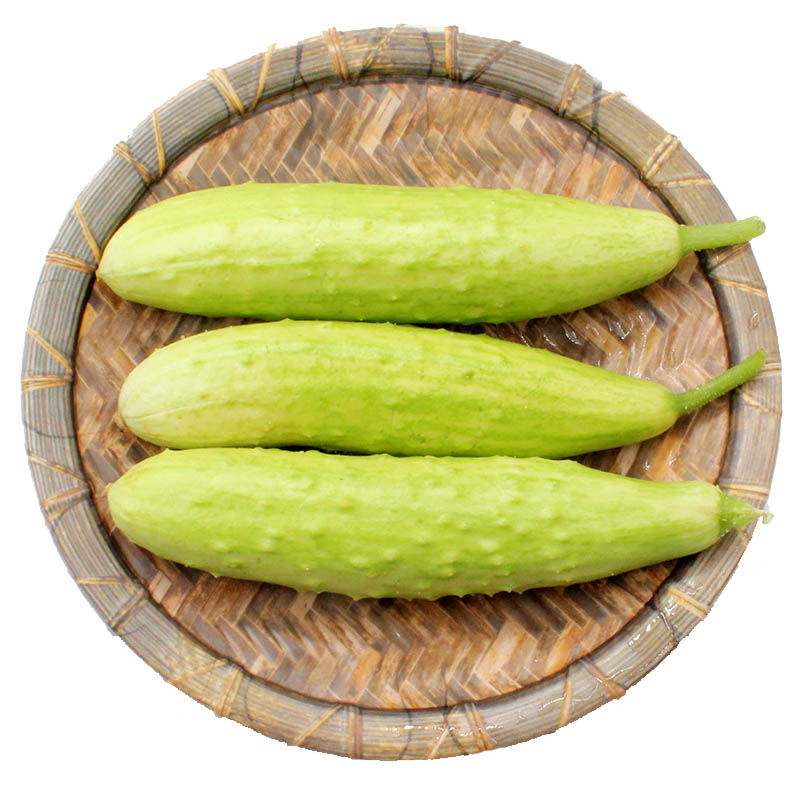 超级新品 旱瓜5斤 新鲜蔬菜小 水果农家 白玉瓜脆瓜东北特产嫩 可开