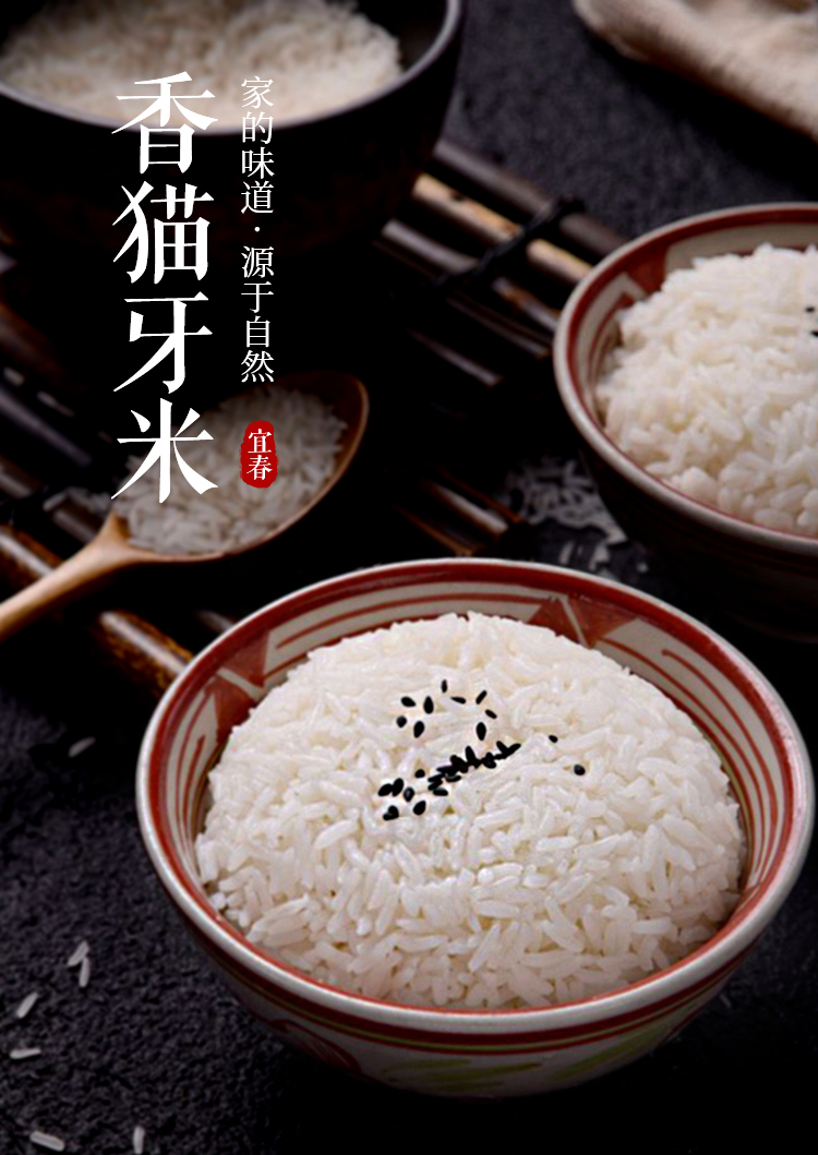 海盛仁香猫牙米5kg长粒香大米籼米农家中老人新米炒饭粳米低糖米