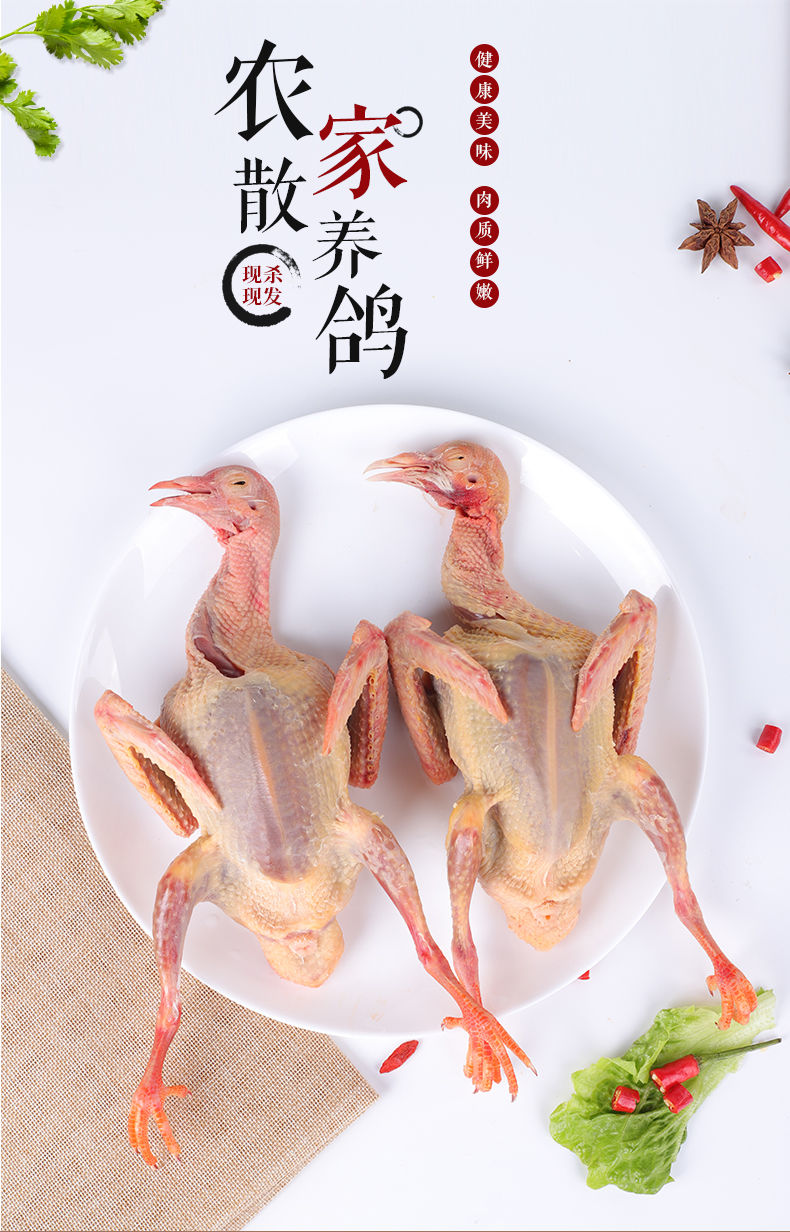赛卡伊新鲜乳鸽3只土鸽子农家散养老鸽子放飞活体乳鸽子肉鲜现杀煲汤