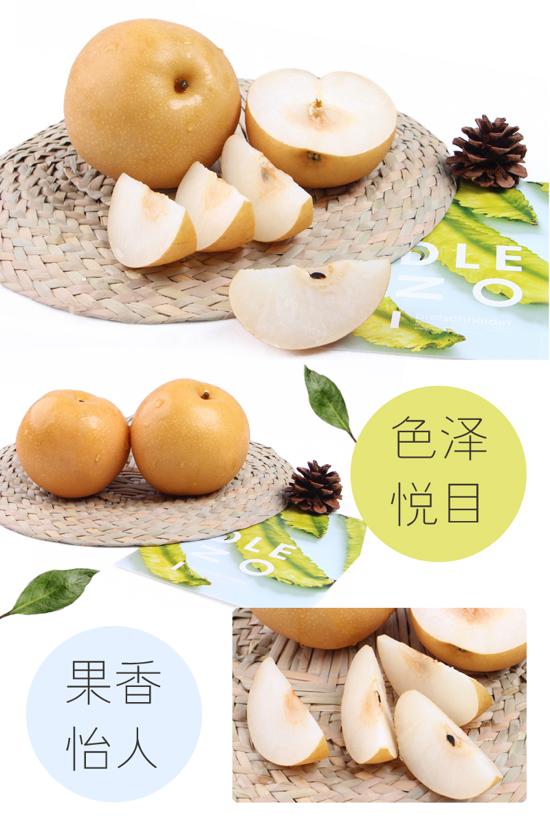 超级新品 正宗冰糖秋月梨5斤装 新鲜水果梨子 甜梨莱阳梨丰水梨