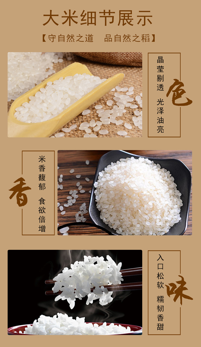 正宗江苏扬州宝应辛粒香米圆粒珍珠香大米粳米江苏苏北宝应大米5kg