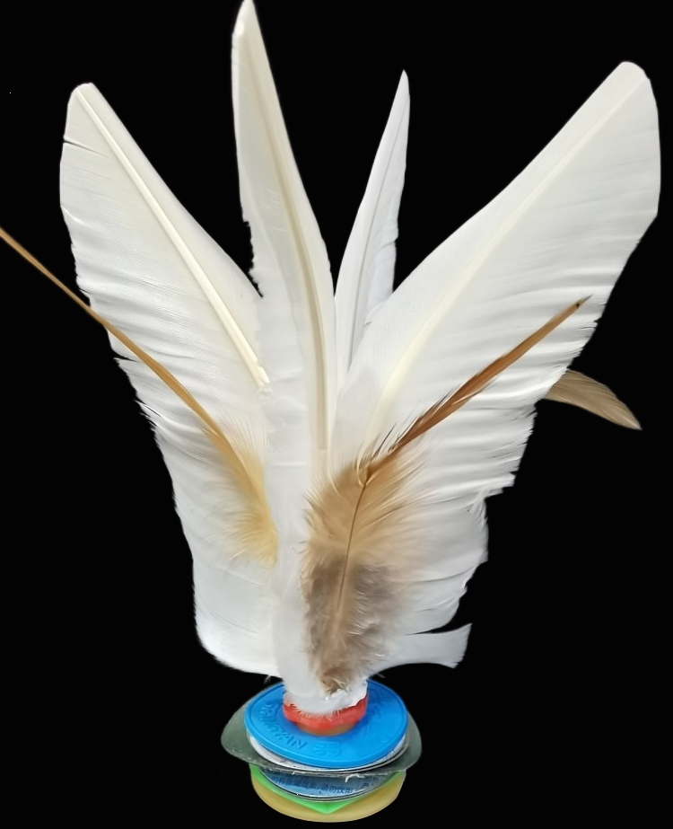 闪电客毽子 大白毽比赛专用大人健身毽球儿童小学生腱子闪电客羽毛