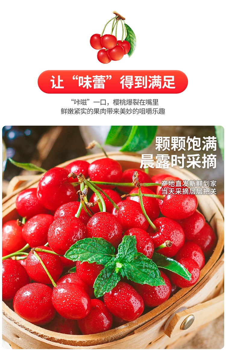 顺丰空运新鲜陕西铜川大樱桃2斤装