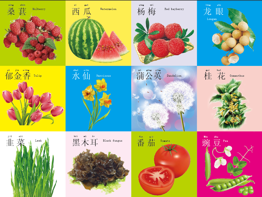 dzq人物形状45张撕不破婴幼儿童宝宝认知早教识字卡片撕不烂的书盒