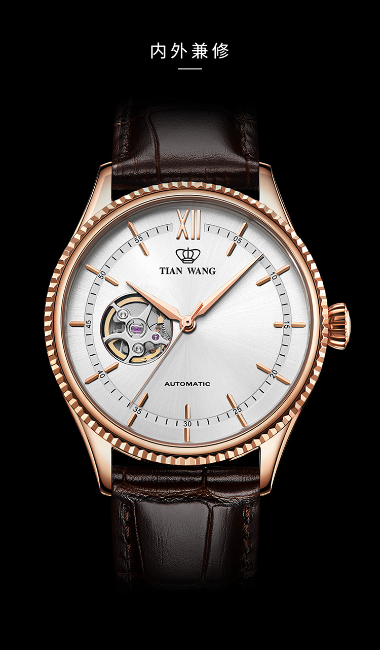 天王表男表昆仑系列机械表皮带休闲男士手表腕表gs51154