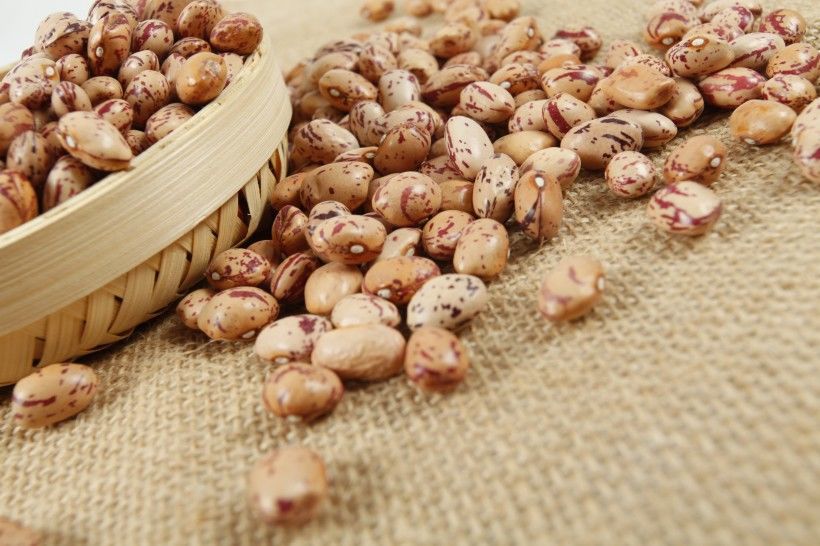 奶花豆新货贵州遵义花生豆雀蛋豆农家新豆花饭豆奶花芸豆五谷杂粮奶花