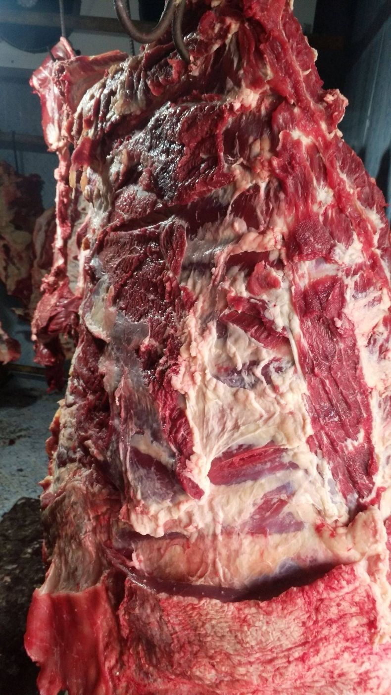 汶优香(wenyouxiang)牛肉 清真新鲜多肉牛排骨 鲜牛肉 牛仔骨 烧烤