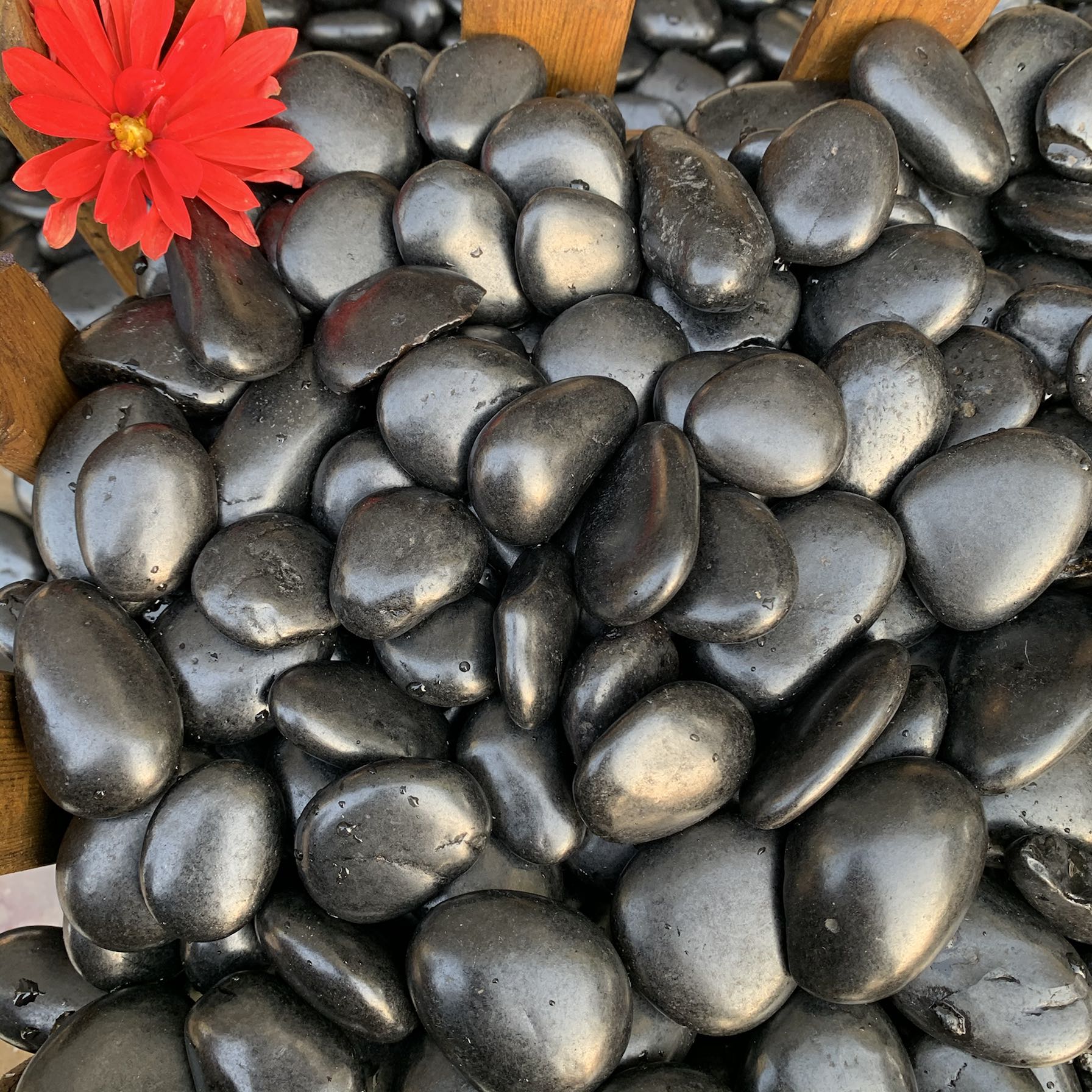 黑色石南宁雨花石鹅卵石花盆栽鱼缸小黑石子园艺铺地装饰园林石头