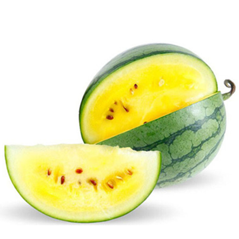 特小凤西瓜单果13kg
